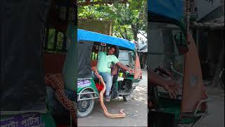 Fake King Cobra VS Crazy Man Snake Prank Part 2 Emtiaz BhuyanShorts funny [upl. by Yllus]