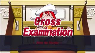 CrossExamination  Allegro 2002 – Phoenix Wright Ace Attorney Justice For All Remastered [upl. by Adekam]