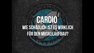 Cardio Wie schädlich ist es wirklich für den Muskelaufbau [upl. by Ulrica]