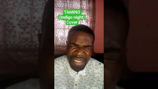 Tamino  Indigo night Cover by Courage Kanayo music tamino indigonight youtubemusic [upl. by Margo]