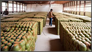 Cosechando Las Frutas Exóticas Más Deliciosas Del Mundo [upl. by Ogait]