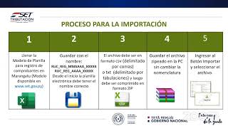 Registro de Comprobantes por Importación RG90 Paraguay [upl. by Ettennyl301]