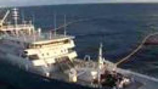 The Worlds Largest Tuna Fishing Vessel [upl. by Barfuss213]