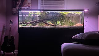 Moving my 125 gallon aquarium to my new home [upl. by Bigot27]