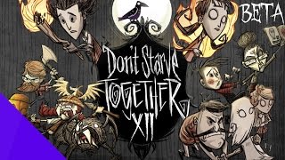 Dont Starve Together 12  Das Ende HDGerman »Lets Play Dont Starve Together BETA« [upl. by Yentterb]