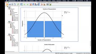 Descriptive Data Analysis with SPSS [upl. by Malina]