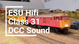 NEW ESU Hifi Class 31 DCC Sound [upl. by Nahraf246]