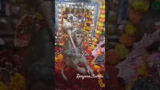 Hanuman ji ke bakht comment me jai shri ram likha or like and subscribe 🙏🙏🙏🙏 [upl. by Nwahsan]