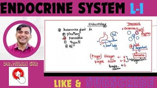 Endocrine system lacture 1 by drmilan sir Name institute [upl. by Aramoy]