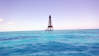 Snorkeling Sombrero Reef and Lighthouse at Marathon Key Florida Beautiful Coral Reef [upl. by Heiney]