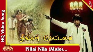 Pillai Nila irandum Vellai Nila male Song  neengal kettavai  பிள்ளை நிலா இரண்டும் வெள்ளை நிலா [upl. by Bellamy923]