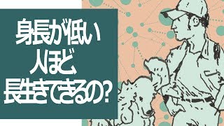 身長が低いほど、長生きできるって本当？ [upl. by Burgess]