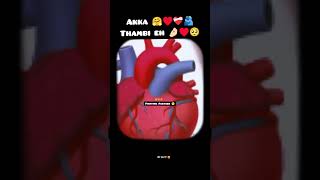 Akka thambi pasam WhatsApp status Full screen 🤗 Me and Akka Bond 🥰♥️ Beautifull BOND Ever Ns edits 🥰 [upl. by Htebazie]