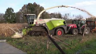 Maïs 2023  Claas Jaguar 960 Terra Trac  5x Massey Ferguson  4x Dezeure  muddy field  Verreth [upl. by Mercola801]