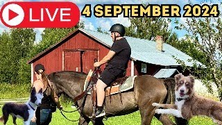 LIVE MED NICKLAS TARVAINEN 4 SEPTEMBER 2024 [upl. by Rihat]