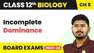 Incomplete Dominance  Principles of Inheritance and Variation  Class 12 202223 [upl. by Nolyag]