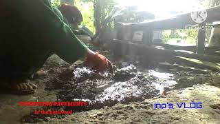 CEMENTING PAVEMENTS In The Backyard ll My Home Chore This Weekend [upl. by Ettenuahs]