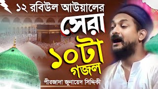 জুনায়েদ সিদ্দিকীর বাছাই করা ১০ টা গজল┇junaid siddiqui gojol 2024┇junaid siddiqui gojol┇Junaid naat [upl. by Laforge202]