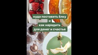 елка в правильном секторе  это мощный активатор денег и счастья [upl. by Egerton]