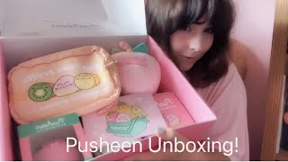 Summer Pusheen 2024 Box [upl. by Drauode675]