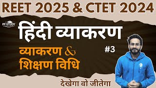 REET 2025 amp CTET DEC 2024  HINDI CLASS  HINDI GRAMMAR CLASS  HINDI PEDAGOGY CLASS  PF STUDY [upl. by Ynavoeg950]