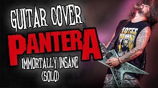 Pantera  Immortally Insane Solo Cover [upl. by Aicul]