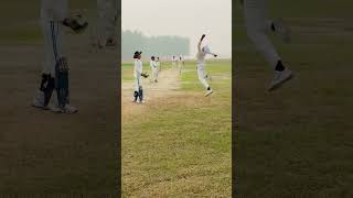 An incredible catch by our slip fielder What would you say about this moment Share your thoughts [upl. by Wilser727]