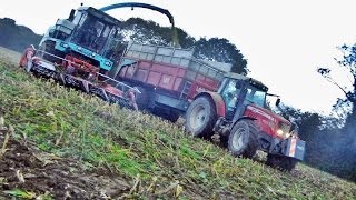 Mengele Mammut 7800 At Corn Silage 2013 [upl. by Louella288]