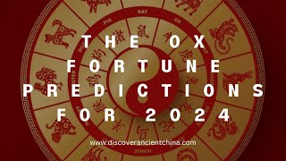 The Ox Fortune Predictions for 2024 [upl. by Noerb]