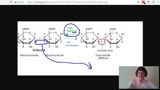 MCAT Question of the Day Hydrolysis and Condensation Reactions [upl. by Pul]