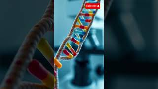 Mystery Of Human DNA  5 Facts About Human DNA [upl. by Yatnuahs825]