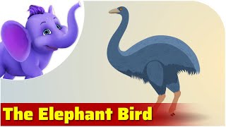 The Elephant Bird  Prehistoric Animal Songs [upl. by Eixel]