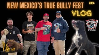 NEW MEXICO’S TRUE BULLY FEST  2024  VLOG [upl. by Grant236]