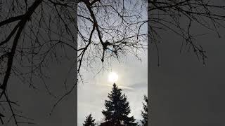 Astounding TimeLapse Video of Solar Eclipse from Brecksville Ohio  1496287 [upl. by Stubbs]