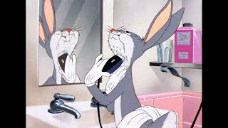 Looney Tunes but its just memes [upl. by Gnoy314]