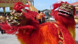 Beijing lion dance [upl. by Hull368]