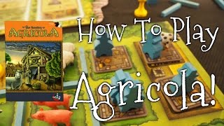 A Dicey quotWalkthrough Reviewquot of Agricola Revised Edition [upl. by Nnav]