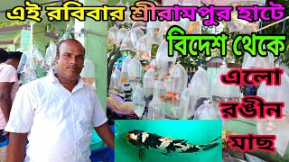 Recent Week All Aquarium Fish Price  Serampore Fish Pet Market  Aquarium Fish Price Update [upl. by Dagall433]