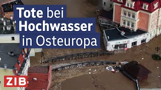 Rumänien Polen und Tschechien unter Wasser  ZIB1 vom 15092024 [upl. by Dlorrej]