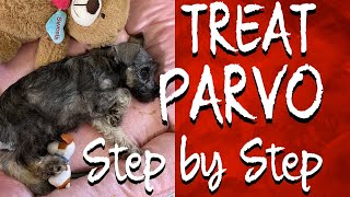 HOW TO CARE FOR YOUR PUPPY WITH PARVO AT HOME  ADMINISTERING IV FLUIDS NUTRICAL  ORGANIC DROPS [upl. by Eceeryt]