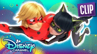 Ladybug and Cat Noir Switch  Passion  Miraculous Ladybug  disneychannel x Miraculous [upl. by Eilis154]