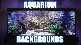 Aquarium Backgrounds  Everything You Need to Know [upl. by Coffeng671]