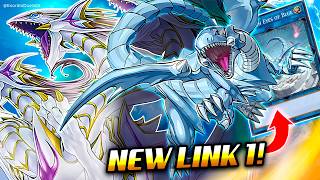 NEW BLUEEYES LINK❗ BlueEyes Deck Post Avent of BlueEyes  Exordio [upl. by Jordanson143]