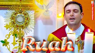 🕊 «RUAH» 🕊 ORACIÓN ESPECIAL POR LOS ENFERMOS  ante el Santísimo Sacramento  Padre Gabriel Quintero [upl. by Sauls]