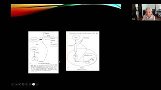 Signs of Toxicity During Canine Pregnancy Webinar [upl. by Niryt]