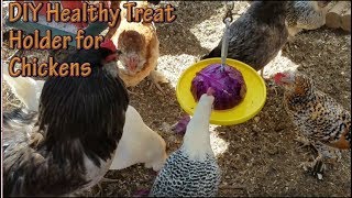 DIY Chicken Treat Holder [upl. by Nyladnar638]