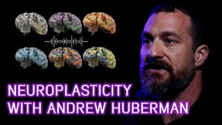 What is Neuroplasticity Professor Andrew Huberman explains [upl. by Audrit]