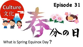 春分の日 【Spring Equinox Day】 Japanese Culture 31 [upl. by Aiker]