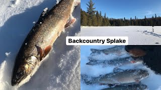 Splake Ice Fishing MN Inland Lake [upl. by Gadmon]