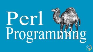 Perl Programming  Working with Scalar Data intro [upl. by Juan]